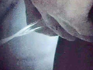 Sexy and kinky nippon hunks fucking in the toilet