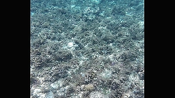 Beauty speech and showing off huge dead dick style dildo